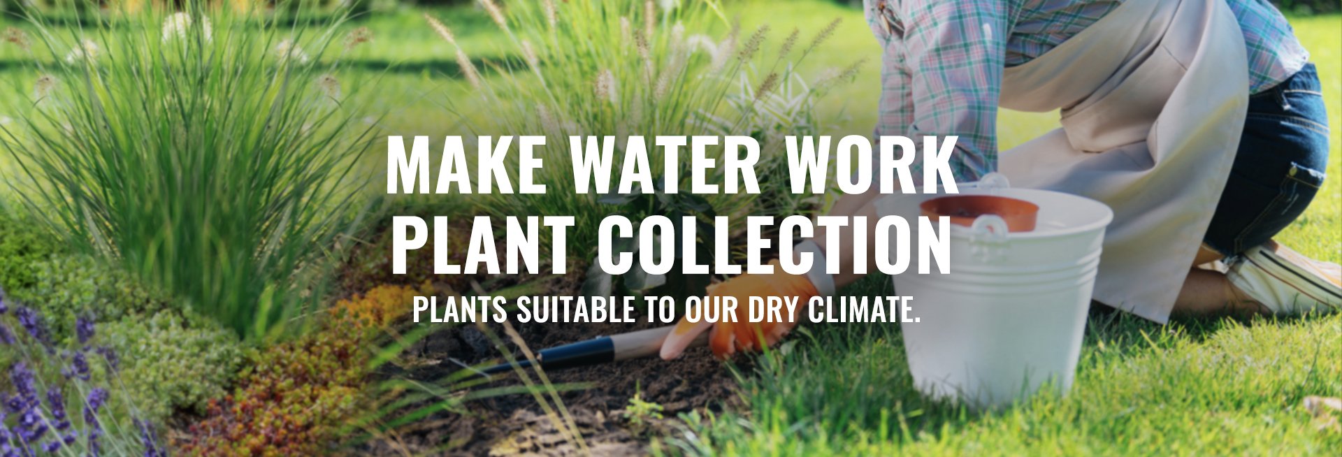 woman gardening make water work plant collection