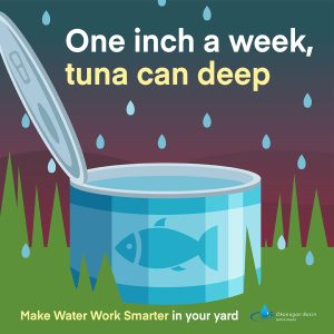 MWW-005 2025 Water Tips-V2