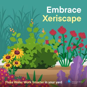 MWW-005 2025 Water Tips-V2