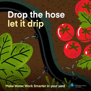 MWW-005 2025 Water Tips-V2