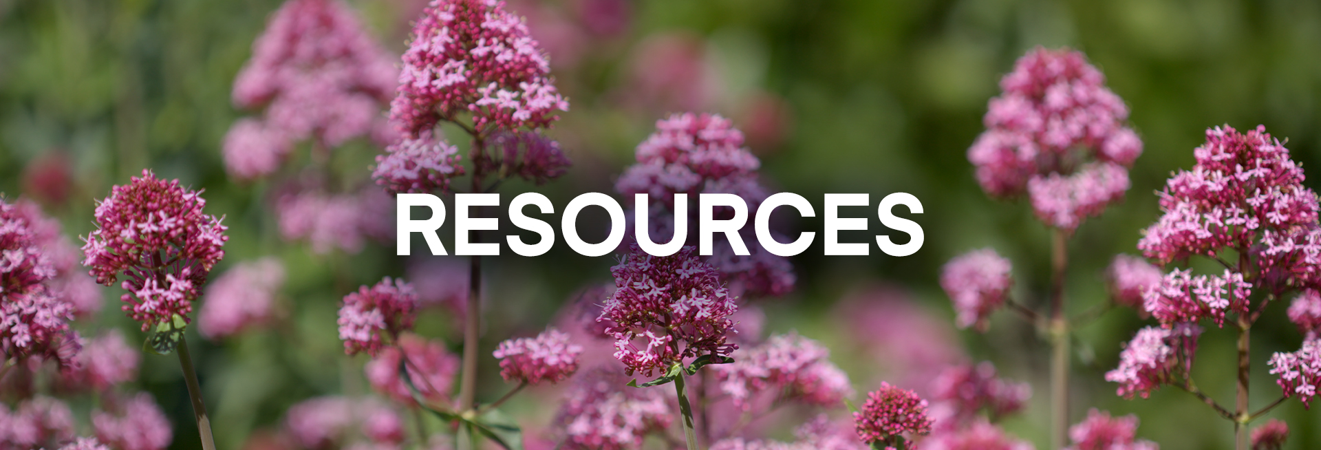 MWW-005 Resources Banner